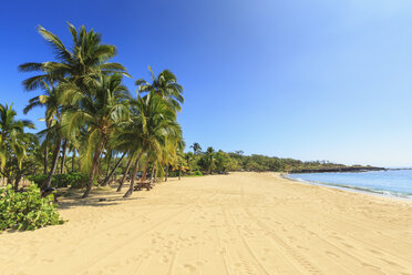 Goldener Strand und Palmen im Hulopo'e Beach Park, Insel Lanai, Hawaii, USA - ISF07949