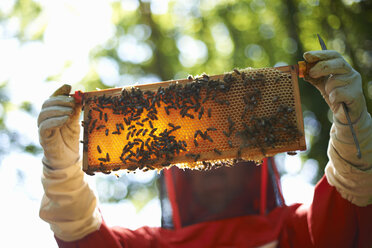 Imkerin hält Bienenstockrahmen vor sich - ISF08205