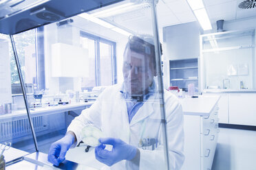 Scientist examining sample inside petri dish in laboratory - CUF22604