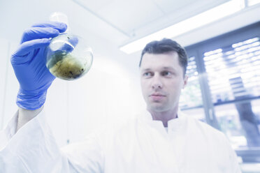 Scientist examining sample in beaker - CUF22645