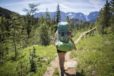 Hiker walking across forest, Enchantments, Alpine Lakes Wilderness, Washington, USA - ISF08434