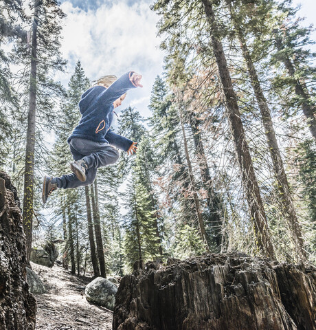 Junge springt im Wald, mitten in der Luft, Sequoia National Park, Kalifornien, USA, lizenzfreies Stockfoto