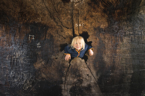 Portrait of young boy in middle of tree stump, overhead view, Sequoia National Park, California, USA - ISF08599