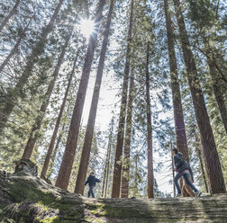 Drei Kinder gehen im Wald spazieren, Sequoia National Park, Kalifornien, USA - ISF08677