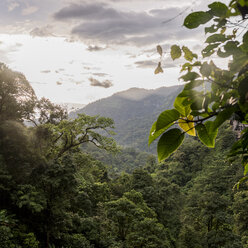 Sonnenaufgang im Nationalpark Ban Nongluang, Provinz Champassak, Paksong, Laos - ISF08715