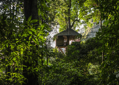 Treehouse, Ban Nongluang National Park, Champassak province, Paksong, Laos - ISF08716