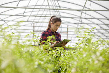 Frau im Polytunnel mit digitalem Tablet - CUF22737