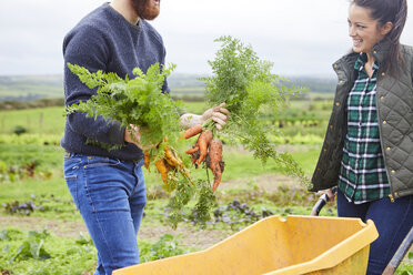 Couple on farm harvesting carrots - CUF22784