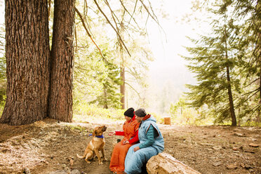 Paar im Schlafsack trainiert Hund, Sequoia National Park, Kalifornien, USA - ISF08776
