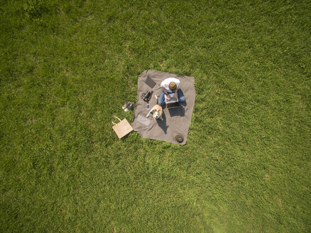 Bird's eye view of woman sitting on blanket on meadow with dog using laptop - ONF01119