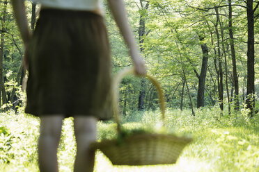 Rückansicht einer jungen Frau mit einem Korb mit gesammelten Wildkräutern im Wald, Vogogna, Verbania, Piemonte, Italien - CUF22887