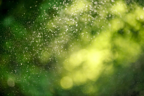 Wassertropfen eines Rasensprengers, lizenzfreies Stockfoto