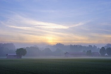 Deutschland, Bayern, Schwaben, Türkheim, Morgennebel bei Sonnenaufgang, Naturpark Augsburg Westliche Wälder - SIEF07785