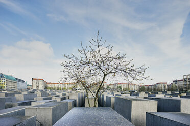Cement blocks at the Holocaust Memorial, Berlin, Germany - CUF23088