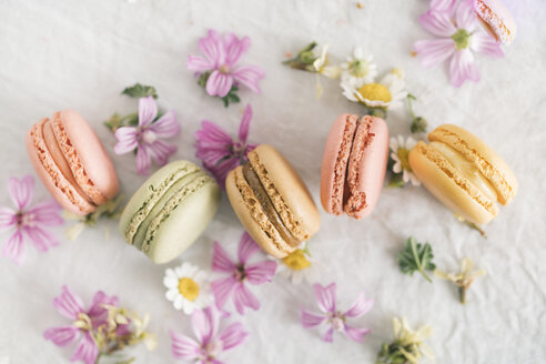 Macarons with blossoms - JPF00323