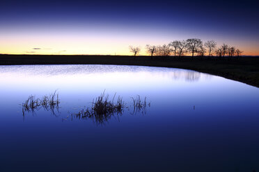 Spain, Castilla y Leon, Province of Zamora, Reserva natural de Lagunas de Villafafila, lake at sunset - DSGF01741