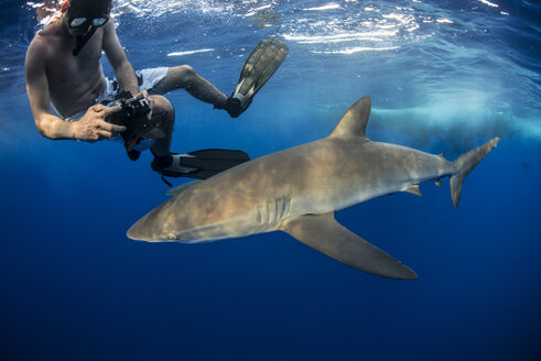 Schnorchler beim Fotografieren eines Seidenhais (Carcharhinus falciformis), Roca Partida, Colima, Mexiko - ISF08798