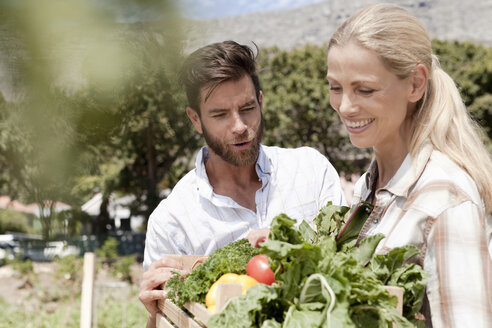 Älteres Paar hält Kiste mit frischem Gemüse im Garten - ISF08929