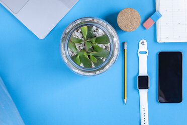 Business desk with potted plant in front of blue background seen from above - MMAF00371