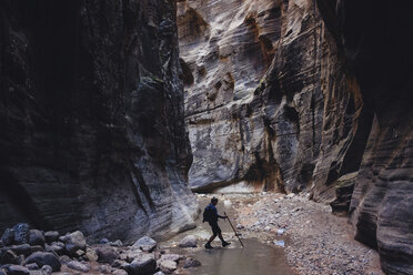 Hiker crossing stream in ravine, Zion National Park, Utah, USA - ISF09129