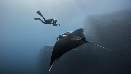 Taucher schwimmt mit Riesenmanta-Rochen - ISF09151