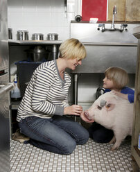 Mutter und Tochter sitzen in der Küche und streicheln ein Hausschwein - ISF09165