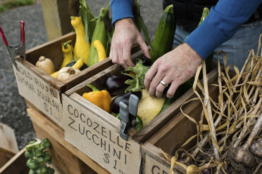 Männerhände bereiten Obst und Gemüse im Bioladen vor - ISF09197