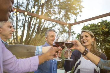 Reife Freunde im Kreis stoßen bei einer Gartenparty mit Rotwein an - ISF09208