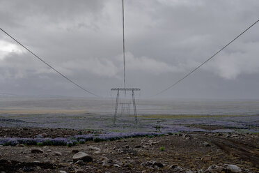 Reihe von Strommasten auf einem Feld vor bewölktem Himmel, Hochland, Island - FSIF03142