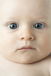 Full frame portrait of cute baby boy - FSIF03161