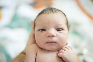 Portrait of new born baby boy looking at camera - ISF09229