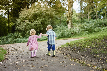 Rückansicht von Bruder und Schwester, die sich im Park an den Händen halten - CUF23218