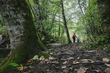 Mutter und Sohn gehen durch den Wald, Rückansicht, Vancouver, British Columbia, Kanada - CUF23242