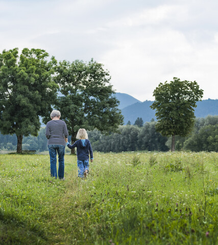 Rückansicht der Großmutter und des Enkels im Feld, Füssen, Bayern, Deutschland, lizenzfreies Stockfoto