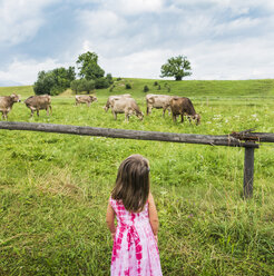 Realansicht eines Mädchens, das Kühe auf der Weide betrachtet, Füssen, Bayern, Deutschland - CUF23358