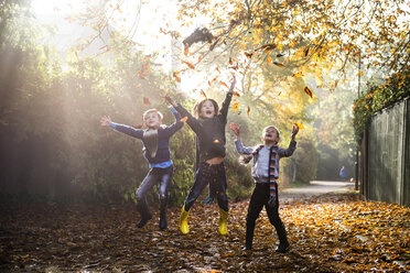 Drei kleine Jungen, die im Freien spielen und Herbstblätter werfen - CUF23506