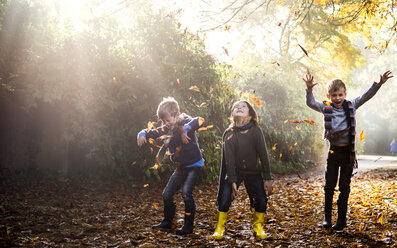 Three young boys, playing outdoors, throwing autumn leaves - CUF23507