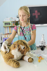 Mädchen, das vorgibt, Tierarzt zu sein, untersucht einen Spielzeug-Tiger mit einem Stethoskop - CUF23577
