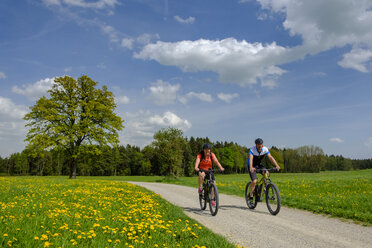 Deutschland, Oberbayern, Fembach, Chiemgau, Radfahrer - LBF01954