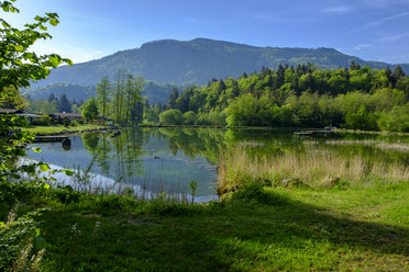 Germany, Bavaria, Upper Bavaria, Chiemgau, Achen Valley, Mettenham, Lake Zellersee - LBF01956