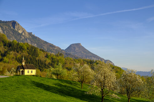 Germany, Bavaria, Upper Bavaria, Nussdorf, chapel and meadow with scattered fruit trees - LBF01961