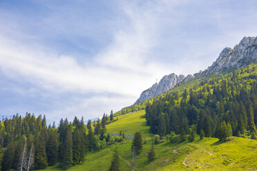 Deutschland, Bayern, Chiemgau, Chiemgauer Alpen, Kampenwand bei Aschau - MMAF00385