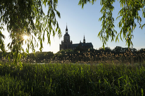 Germany, Stralsund, view to St Mary's Church at evening twilight - ELF01863