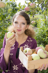 Portrait of teenage girl picking apples in orchard - CUF24435