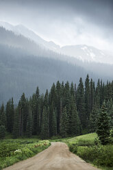 Blick auf einen Feldweg und niedrige Wolken über Bergwäldern, Crested Butte, Colorado, USA - ISF09349