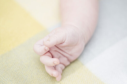 Nahaufnahme der Hand des Babys - CUF25020