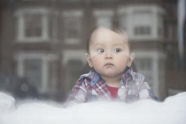 Kleiner Junge schaut aus dem Fenster, Blick durch das Fenster - CUF25038