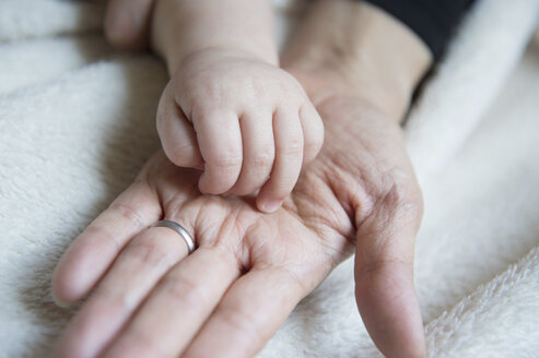 Die Hand des kleinen Jungen ruht auf der Hand der Mutter, Nahaufnahme - CUF25053