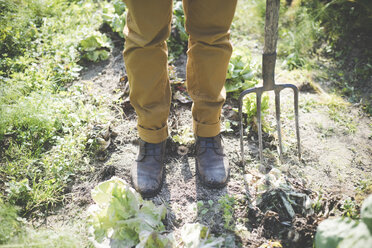 Mann im Garten stehend mit Gabel, tiefer Ausschnitt - CUF25368