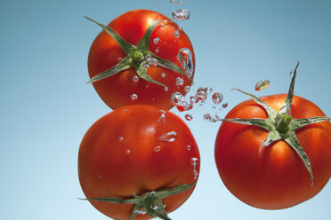 Tomaten unter Wasser - CUF25571
